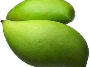 Bangalore mango
