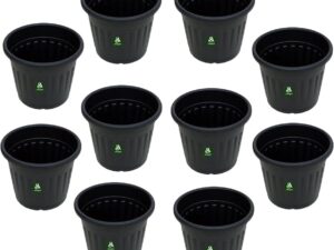 10 inch black pot (5 pots)