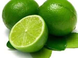 Thai pet lemon