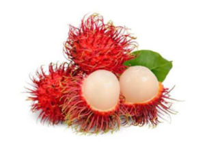 Rambotan N-18 fruit plant
