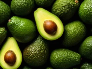 Avocado plant