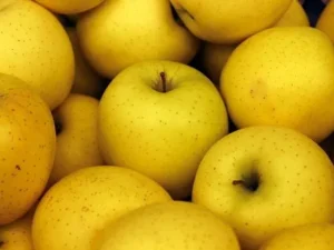 Golden apple plant