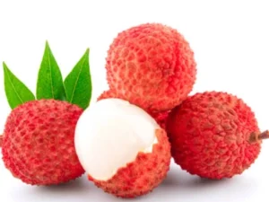 Litchi plant