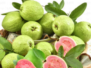 Taiwan Pink Guava