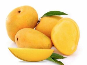 Banganaballi Mango Plant