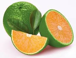 Bari-2-orange