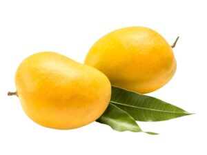 Alphonso Mango