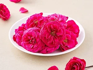 Small Rose Anthara Paneer