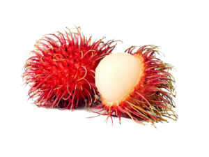 Rambutan School boy variety